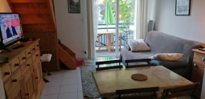 Appartement cosy à Saint-Mamet - 36 m² - Vue montagne